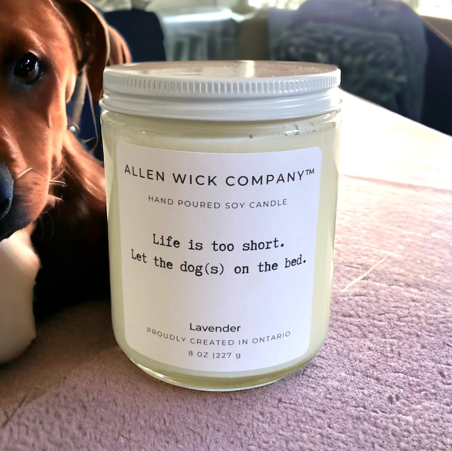 Dog Person Jar Candle (Small and Medium)$3.00 will go to your selected charity.