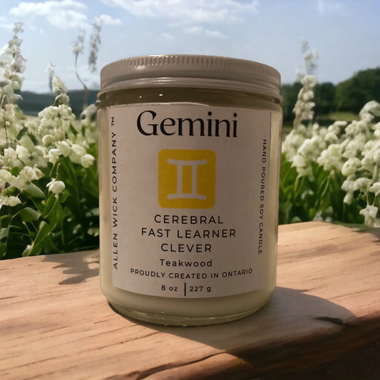 Gemini May 21-June 20. Zodiac Sign Soy Jar Candle (Small and Medium)