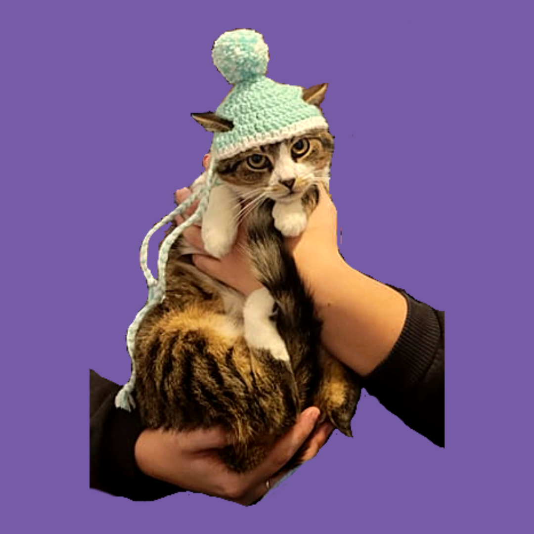 Green crochet hat modelled on a cat
