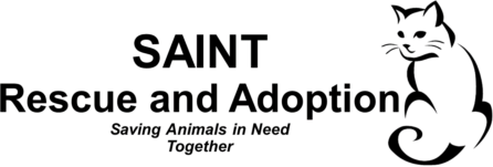 Saints Rescue and Adoption